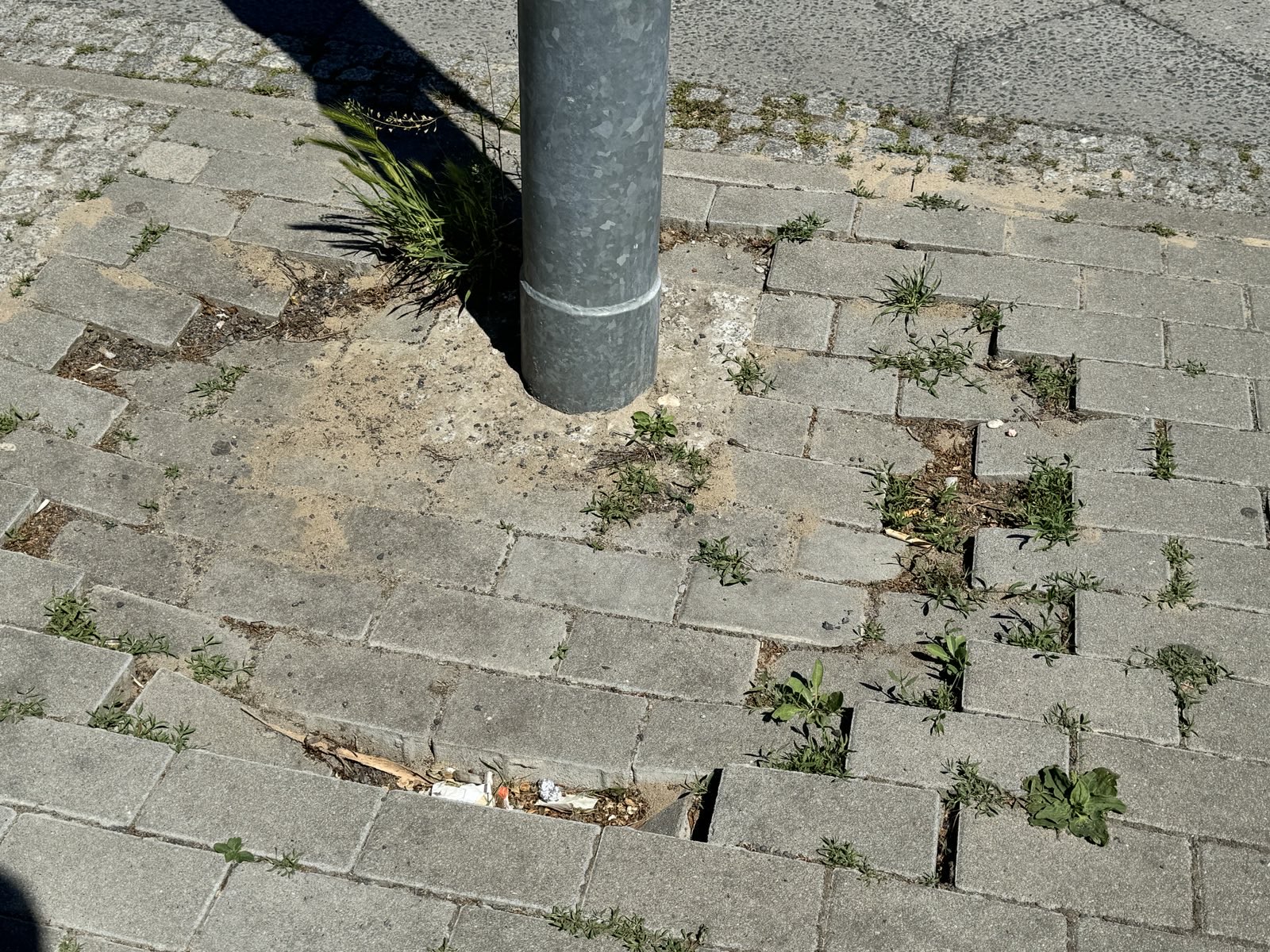 Kaputter Bodenbelag und Müll am Vorplatz des S-Bahnhof Kaulsdorf