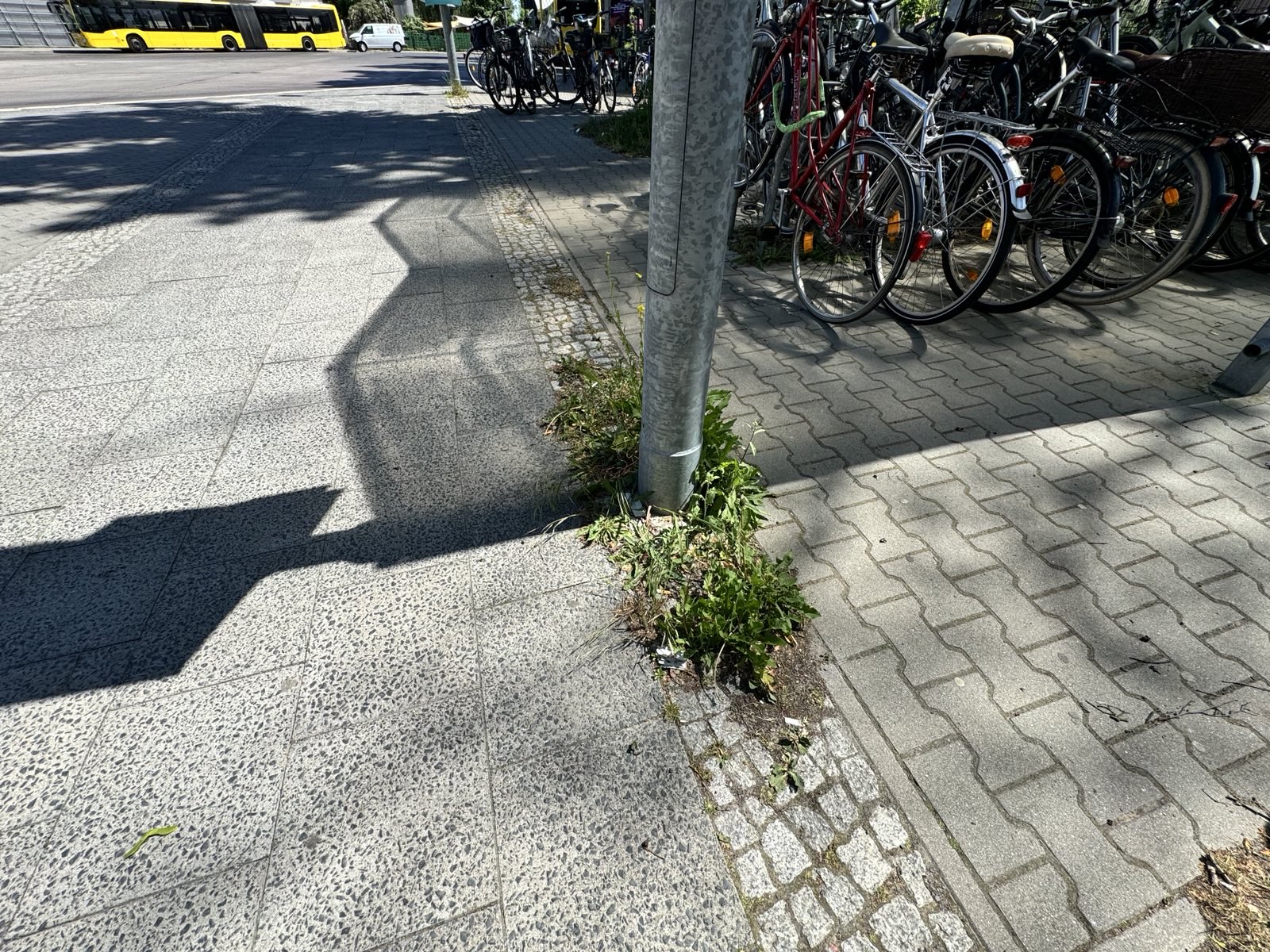 Unkraut wächst durch die Pflastersteine am Vorplatz des S-Bahnhof Kaulsdorf