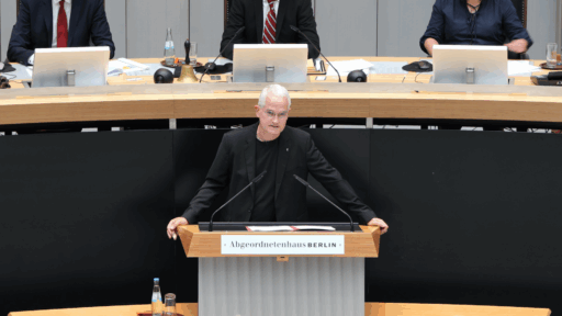 Jan Lehmann bei seiner Rede zum AfD-Antrag: Kastration für Straftäter
