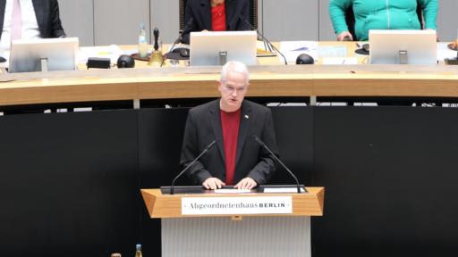 Schutz des Verfassungsgerichtes